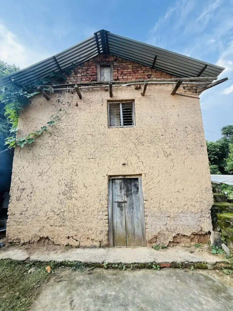 Rustic yellow-brown building with cracked walls, a sloping metal roof covered with vines, and a weathered wooden door under a