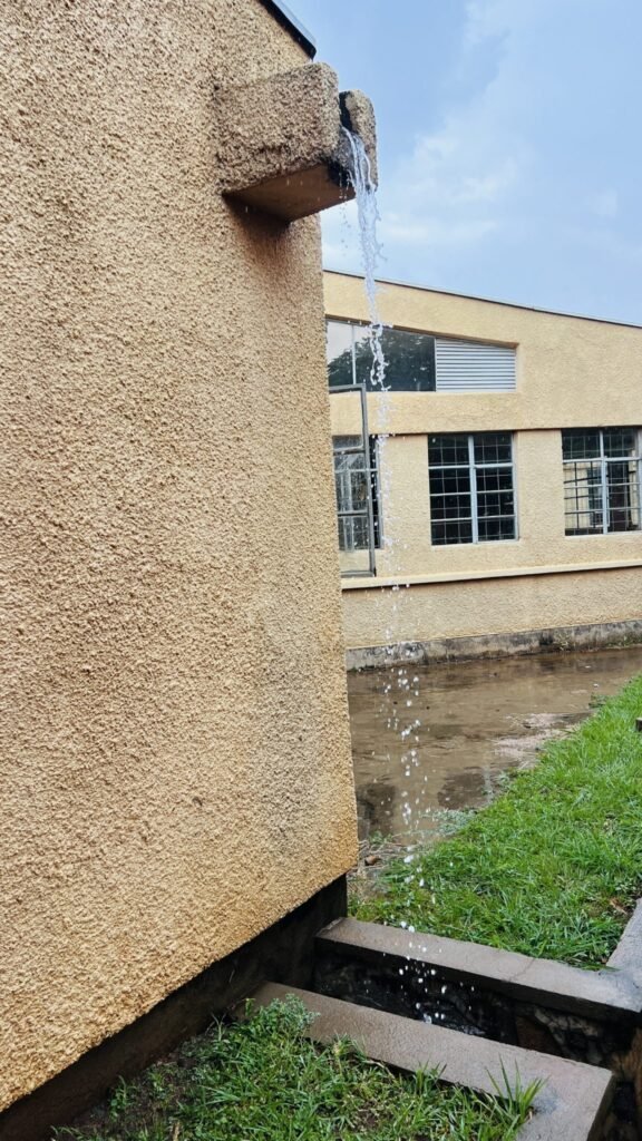 Water flowing from a drainpipe on a wall into a muddy puddle