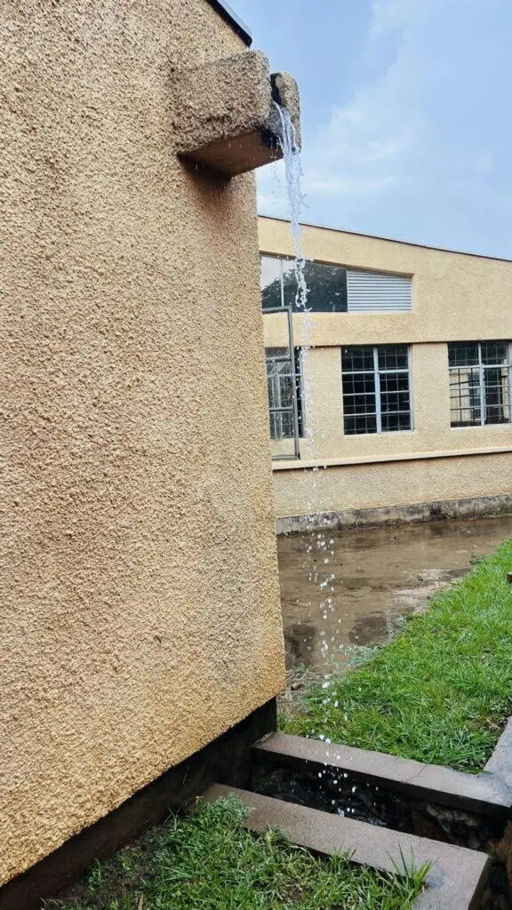 Water flowing from a drainpipe on a wall into a muddy puddle