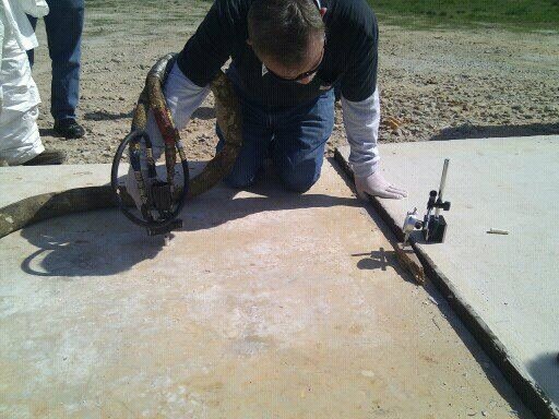 Technician injecting foam under a concrete slab to level it