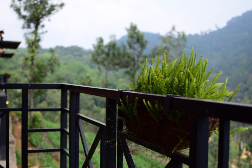 Balcony railing planter box filled with green ferns