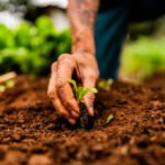5 Easy Plants for Beginners