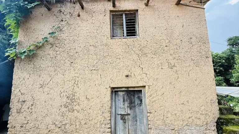 Rustic yellow-brown building with cracked walls, a sloping metal roof covered with vines, and a weathered wooden door under a